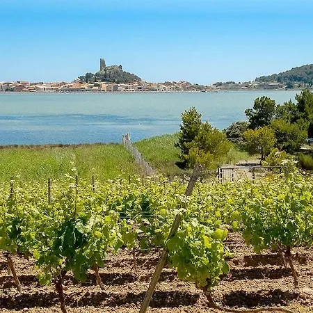 Villa La Nina Mirepeisset